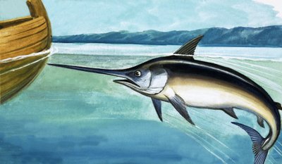 Swordfish by English School
