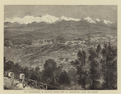 Tea Cultivation in British India, View of Darjeeling from the South by English School