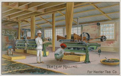 Tea Leaf Rolling, For Nectar Tea Co, Trade Card by English School