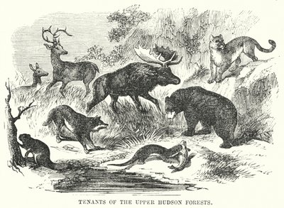 Tenants of the Upper Hudson Forests by English School