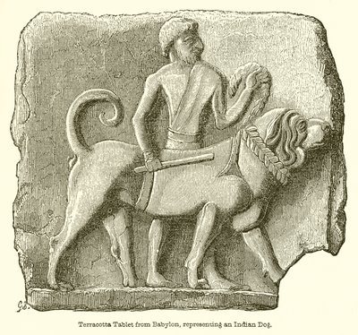 Terracotta Tablet from Babylon, Representing an Indian Dog by English School