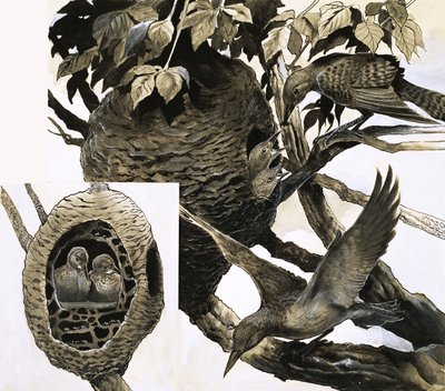 The Ant and the Woodpecker by English School