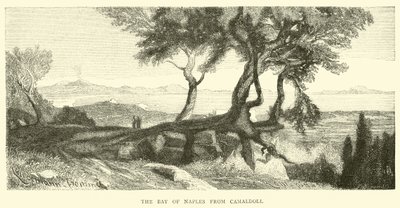 The Bay of Naples from Camaldoli by English School