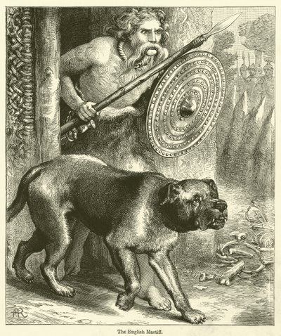 The English Mastiff by English School