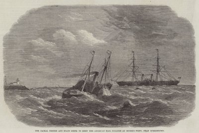 The Jackal Tender and Boats going to meet the American Mail Steamer at Roche