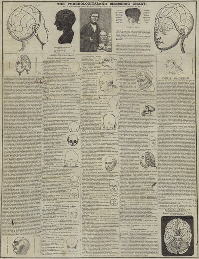 The Phrenological and Mesmeric Chart by English School