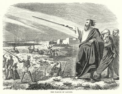 The Plague of Locusts by English School