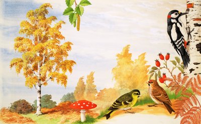 The Silver Birch Tree and animals and plants you might find around it by English School