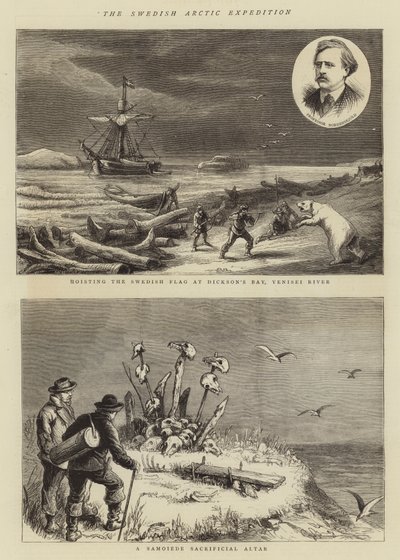The Swedish Arctic Expedition by English School