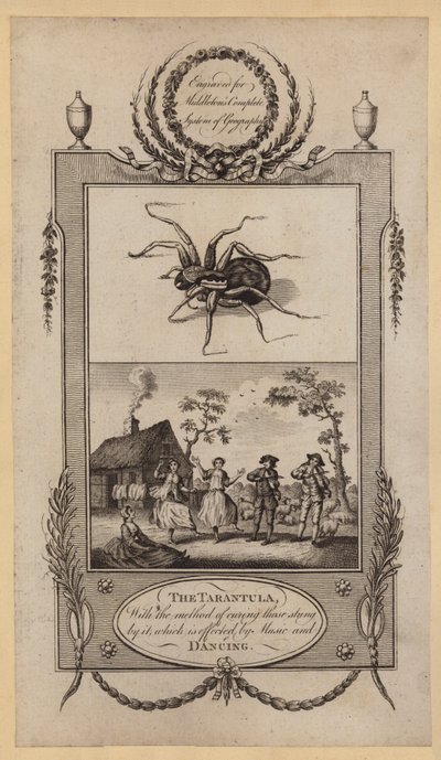 The Tarantula, with the method of curing those stung by it, which is effected by Music and Dancing by English School