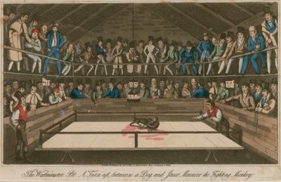 The Westminster Pit: A Turn-Up Between a Dog and Jacco Macacco, the Fighting Monkey by English School