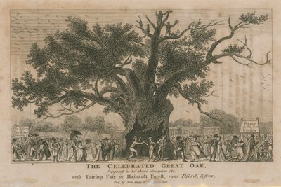 The celebrated Great Oak, supposed to be above 1800 years old by English School