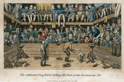 The Celebrated Dog Billy Killing 100 Rats at the Westminster Pit by English School