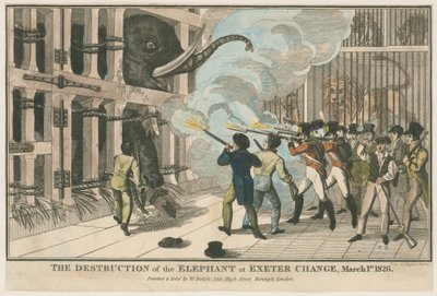 The Destruction of the Elephant at Exeter Change, 1 March 1826 by English School