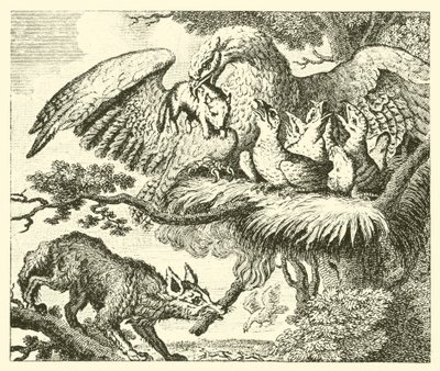 The Eagle and the Fox by English School