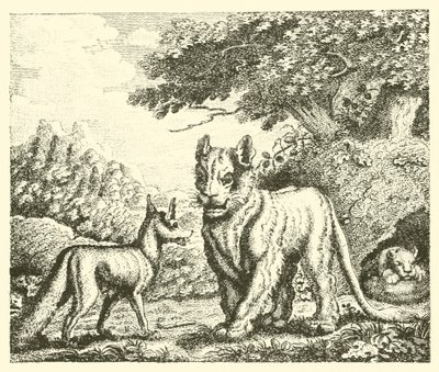 The Lioness and the Fox by English School