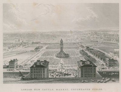 The new Metropolitan Cattle Market, Copenhagen Fields, London by English School