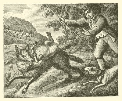 The Shepherd