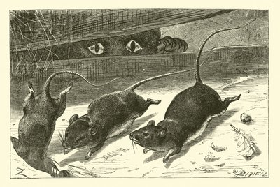 Three Little Mice by English School