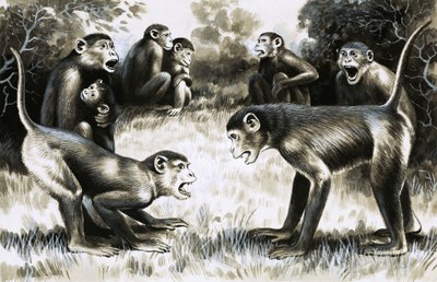 Tooth and Claw: Troops of Monkeys by English School