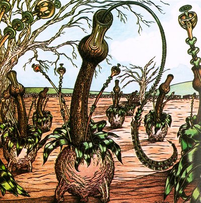 Triffids by English School