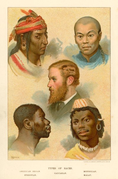 Types of Races by English School
