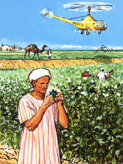 Unidentified arab farmer with camel and helicopter in background by English School