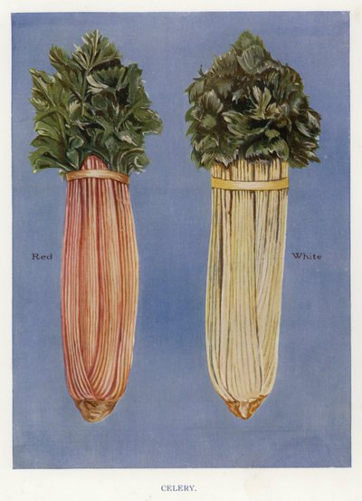 Vegetable Grower