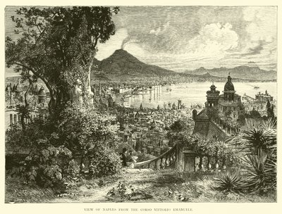 View of Naples from the Corso Vittorio Emanuele by English School