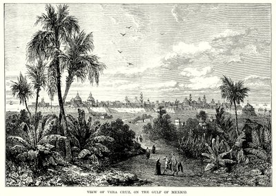 View of Vera Cruz, on the Gulf of Mexico by English School