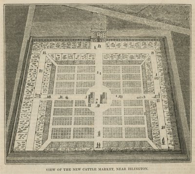 View of the new cattle market near Islington by English School