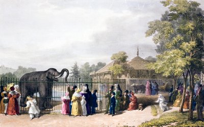 Visitors to London Zoo, Regent