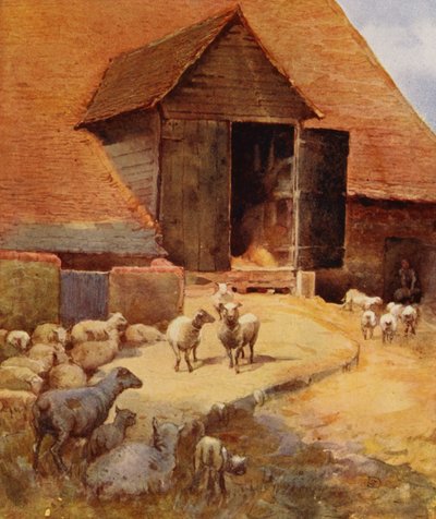 Waiting to Be Shorn by English School