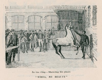Whoa, My Beauty - In the ring showing his paces by English School