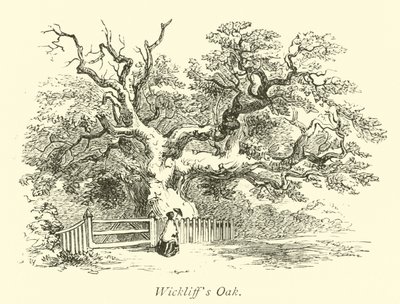 Wickliffs Oak by English School