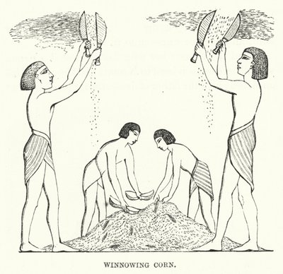 Winnowing Corn by English School