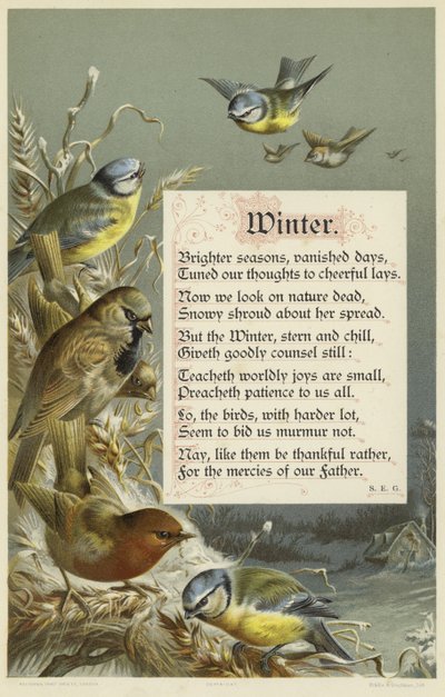 Winter by English School