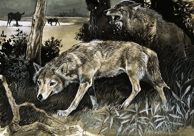 Wolves on the Prowl by English School