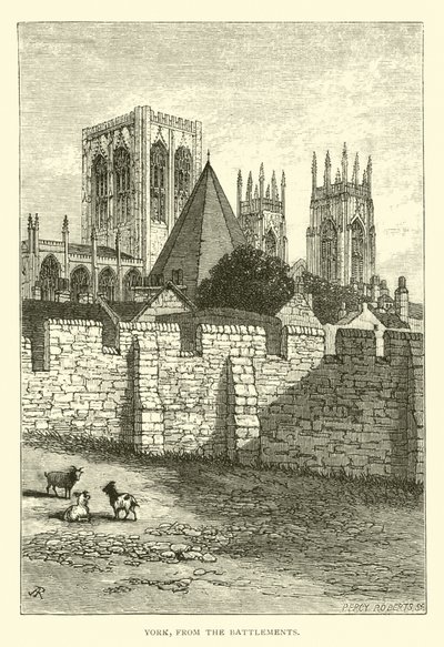 York, from Battlements by English School