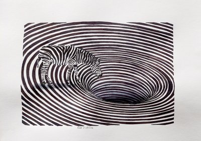 Zebra Vortex Illusion by Erik Van Velzen