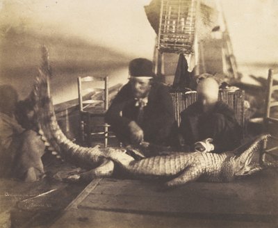 Autopsy of the First Crocodile Onboard, Upper Egypt by Ernest Benecke