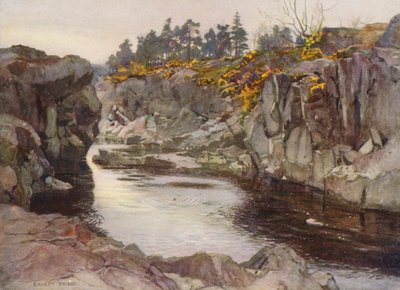 The gorge below the Linn by Ernest Edward Briggs