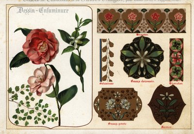 Images of camellias and orange flowers from manuscripts by Ernest Guillot