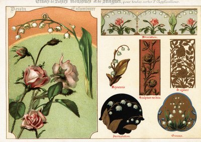 Images of Moss Rose and Lily of the Valley from Manuscripts and Their Application by Ernest Guillot