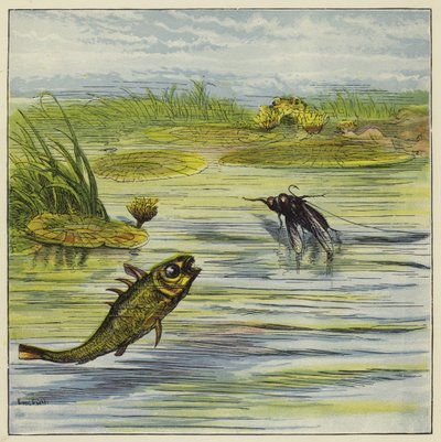 Fish and fly by Ernest Henry Griset
