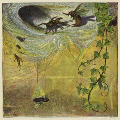 Spider, Fly and Bee by Ernest Henry Griset