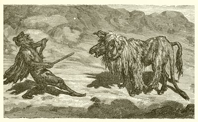The Ass in the Lion