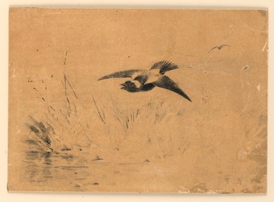 Bobolink by Ernest Thompson Seton