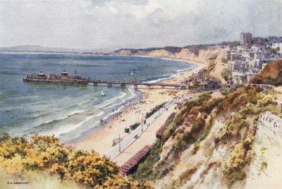 Bournemouth Pier and Sands from Eastcliff by Ernest William Haslehust