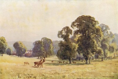 Cobham Park by Ernest William Haslehust